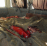 /uploaded-files/news/8307/DSCN6316.jpg - Россельхознадзор