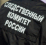 По факту травмирования ребенка в санатории возбуждено уголовное дело - Следственный комитет