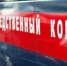 По факту травмирования 7-летнего ребенка под Тверью возбуждено уголовное дело - Тверская жизнь