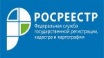 Деятельность предпринимателя «расцвела» не на той земле