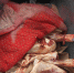 /uploaded-files/news/8558/DSCN7265.jpg - Россельхознадзор