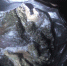 /uploaded-files/news/8693/S1280359.JPG - Россельхознадзор