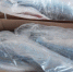 /uploaded-files/news/8944/DSCN0739.jpg - Россельхознадзор