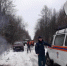 В Калининском районе бобры чуть не затопили дорогу - Караван