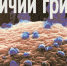 /uploaded-files/news/9543/тичий грипп хуже пожара.jpg - Россельхознадзор