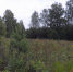 /uploaded-files/news/9554/SAM_7019.JPG - Россельхознадзор