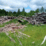 /uploaded-files/news/9935/бревна 2.jpg - Россельхознадзор