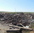 /uploaded-files/news/10024/DSCN0252 25 июня 2.jpg - Россельхознадзор