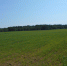/uploaded-files/news/10039/DSCN0210.JPG - Россельхознадзор