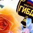 "Информ69" поздравляет сотрудников ГИБДД Тверской области с профессиональным праздником - Inform69.Ru