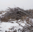 /uploaded-files/news/10200/DSCN0118.jpg - Россельхознадзор