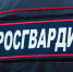 Тверская Росгвардия предупреждает о бдительности в новогодние праздники - Тверская жизнь