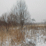 /uploaded-files/news/10807/DSCN0318.JPG - Россельхознадзор