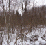 /uploaded-files/news/10857/DSC00080.JPG - Россельхознадзор