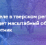 03.04.2019 | В апреле в Тверской области пройдет масштабный областной субботник - Комитет по делам молодежи