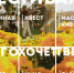 «Чего хочет Тверь»: Пять причин, чтобы пойти на фестиваль - Тверские ведомости