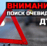 В Твери ищут сбившего 10-летнюю девочку водителя - Тверская жизнь