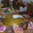 DSC 0086 - Газета Авангард