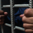 В Тверской области раскрыли разбойное нападение на магазин - Караван
