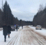 Пешеход и пассажир пострадали в ДТП по вине пьяного водителя на Селигере - Афанасий-биржа