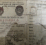 В Тверской области легенда о сбитом самолете подтвердилась - Тверские ведомости