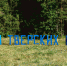 Край родной: путешествие в тверскую Карелию - Афанасий-биржа