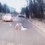 Появилось видео наезда на 14-летнюю девушку в Твери - Афанасий-биржа