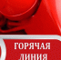 /uploaded-files/news/13090/горячая линия4.jpg - Россельхознадзор
