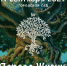 В Твери всех любителей сказок ждут в субботу на фестивале «Дерево жизни» - Газета Вся Тверь