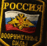 В Тверской области суд отправил сержанта, опоздавшего на автобус, под арест - Афанасий-биржа