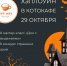 В Твери проведут «мяукающий» хэллоуин в котокафе - Сетевое издание Все о Твери