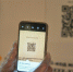 В Тверской области введут QR-коды для посещения общественных мест - Газета Вся Тверь