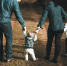 "Центр выплат "Тверская семья" опубликовал график перечисления пособий - ТИА