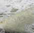 Предприятие в Тверской области загрязняло сточными водами Иваньковское водохранилище - Афанасий-биржа