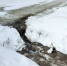 В Бежецке появился  «дом на воде» - Tver24.Com
