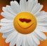 07-08-отдых - TverWeek.Com