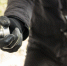 Фото: 1tulatv.ru - 360Tver.Ru