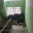 В Твери за гарантированную дозу мужчина позволил наркоманам превратить квартиру в притон - Газета Вся Тверь