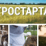 ВНИМАНИЕ! Объявление о начале проведения Министерством сельского хозяйства, пищевой и перерабатывающей промышленности Тверской области конкурса грантов «Агростартап» - Калининский район