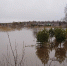 В реке Обша Тверской области вода поднялась до опасного уровня - Тверские ведомости