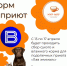 Тверское котокафе проводит благотворительную акцию «Мисочка добра» - Сетевое издание Все о Твери