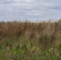 Фото: znamkaluga.ru - 360Tver.Ru