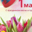 1 мая 22-сайт.jpg - Городская Дума