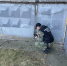 Житель города Конаково предстанет перед судом по обвинению в убийстве малознакомого мужчины - Следственный комитет