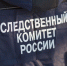 В Весьегонске собака набросилась на школьников - СКР проводит проверку - Тверские ведомости