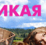 Якутский вестерн и новая робинзонада: июльские кинопремьеры в Wink добавят лету остроты - Афанасий-биржа