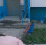 В Тверской области задержан сбытчик крупной партии метадона - Газета Вся Тверь