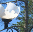 В Тверской области задержан молодой мужчина, ради забавы разбивший в Сандово уличные фонари - Газета Вся Тверь