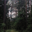 1 - ГТРК