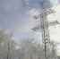 14_12_2022.zP9Wp - TverWeek.Com